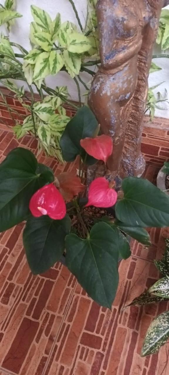 Leisure Home Colombo Kültér fotó